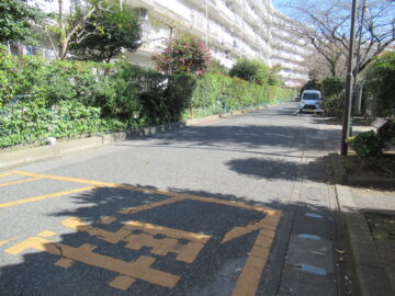 越谷市某マンションアスファルトのひび　施工前