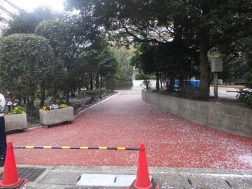 越谷市某マンション路盤改修工事　施工後